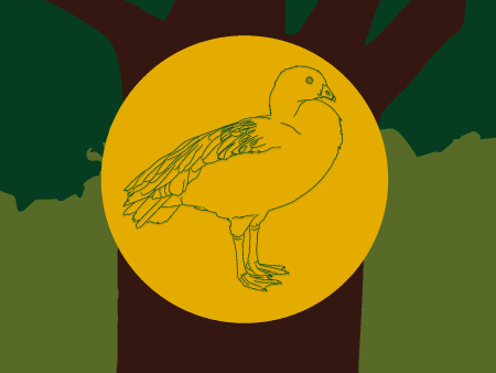 EnlaceTerrestre - Recurso Educativo Interactivo